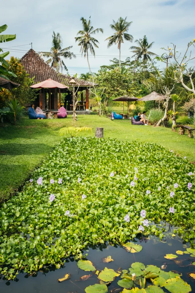 bali tourism